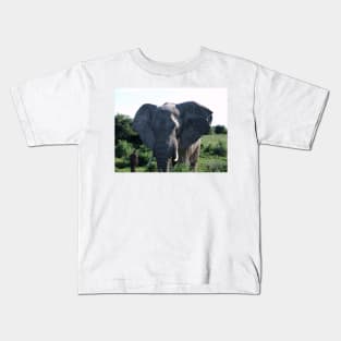 African Wildlife Photography Big Ears Elephant Kids T-Shirt